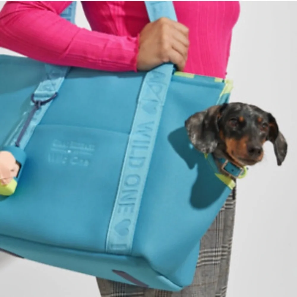 Isaac Mizrahi this isaac